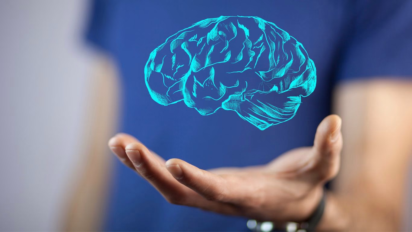 image of a man's hand holding a brain