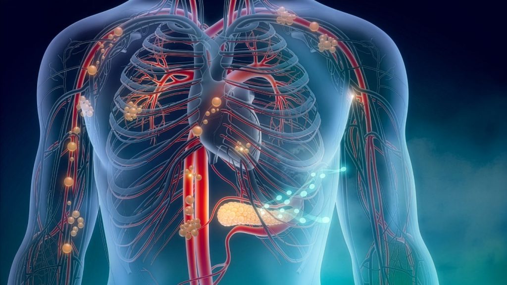 Graphic of human nervous system