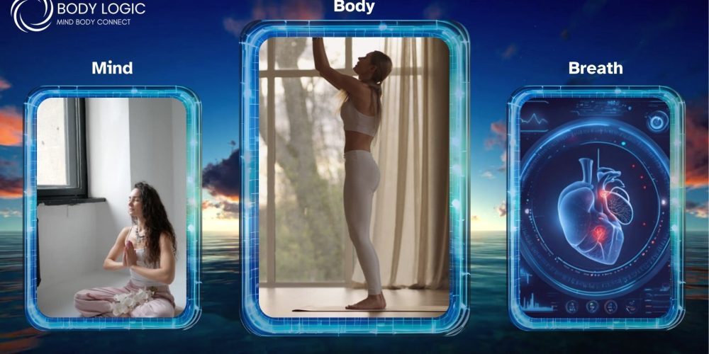 An image of Body Logic's course dashboard