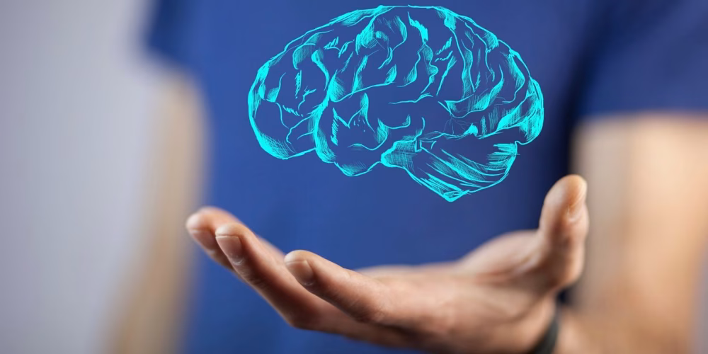 image of a man's hand holding a brain
